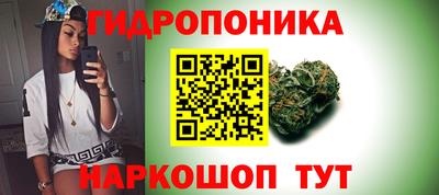mdpv Моздок