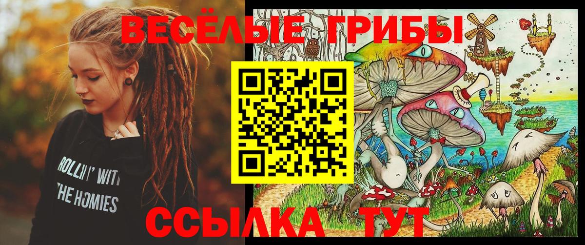 Галлюциногенные грибы Psilocybine cubensis Черногорск