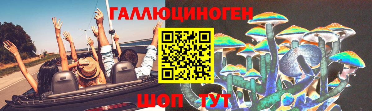 закладка  Вход с VPN  Черногорск  Псилоцибиновые грибы Magic Shrooms  Галлюциногенные грибы прущие грибы 